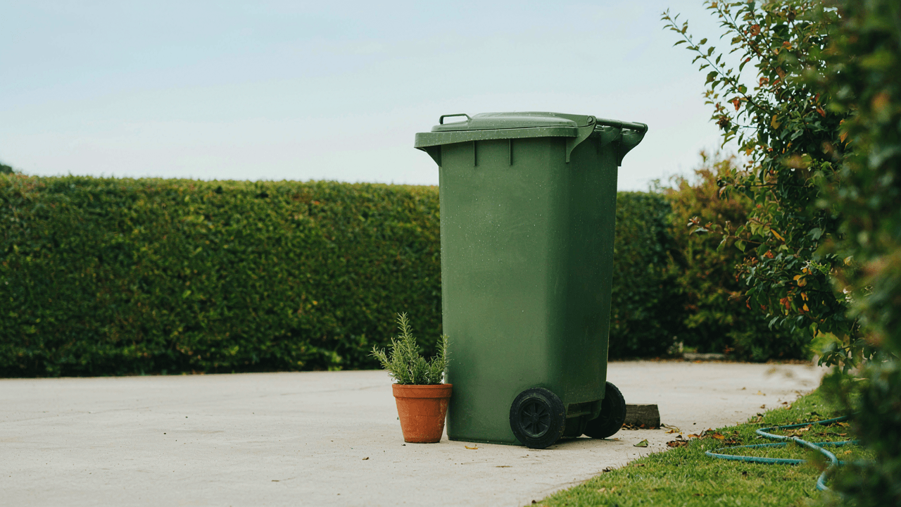 How to Reduce Flies Around Your Wheelie Bin